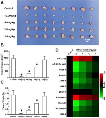 A Novel Small Molecular Inhibitor of <mark class="highlighted">DNMT1</mark> Enhances the Antitumor Effect of Radiofrequency Ablation in Lung Squamous Cell Carcinoma Cells